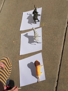 ShadowArt4