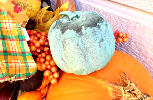 TealPumpkin
