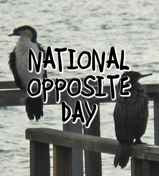 National Opposite Day